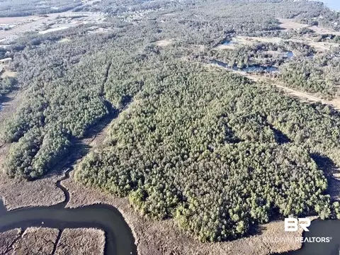 0 Riverview Pointe Dr, Theodore, AL 36582 photo 12
