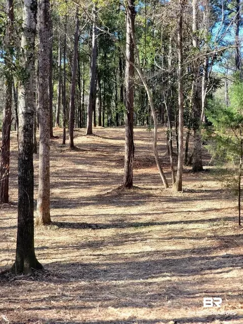 0 Elderberry Dr, Spanish Fort, AL 36527