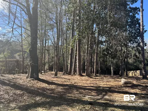 315 W Springhill Woods Dr, Mobile, AL 36608 photo 4
