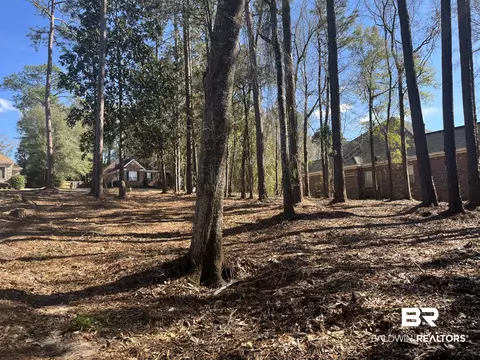 315 W Springhill Woods Dr, Mobile, AL 36608 photo 3