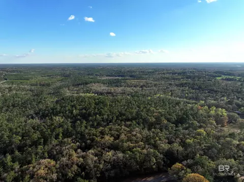 0 Dogwood Fork Rd, Bay Minette, AL 36507
