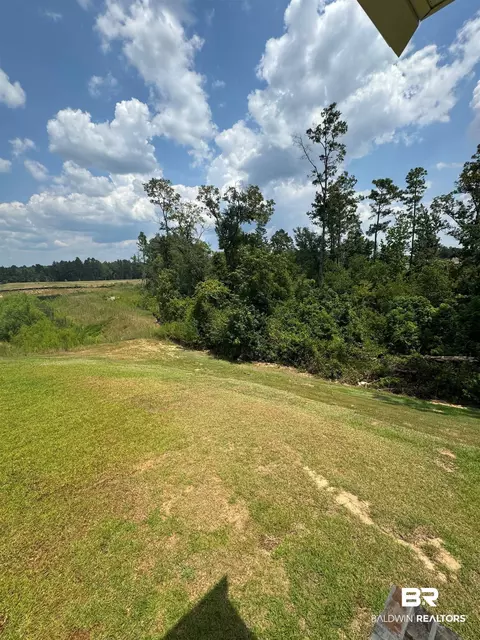 11335 Elemis Dr, Daphne, AL 36526 photo 6