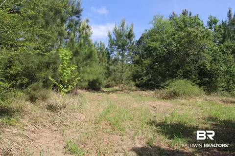 28800 Cheryl Ln, Elberta, AL 36530 photo 14