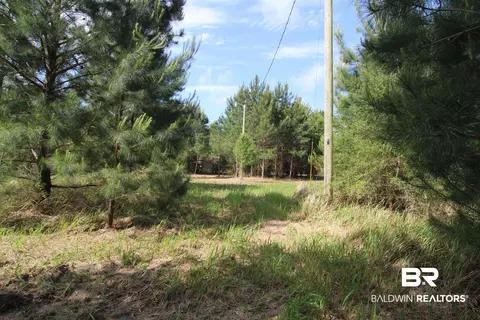 28800 Cheryl Ln, Elberta, AL 36530 photo 16