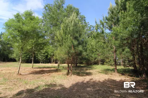 28800 Cheryl Ln, Elberta, AL 36530 photo 8