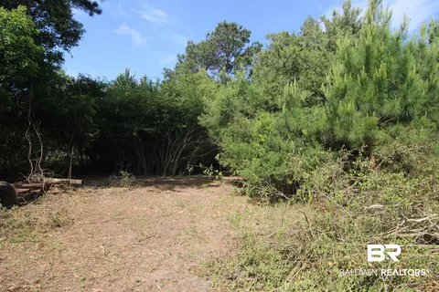 28800 Cheryl Ln, Elberta, AL 36530 photo 21