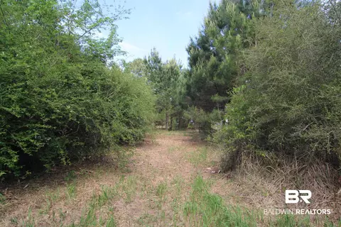 28800 Cheryl Ln, Elberta, AL 36530 photo 4