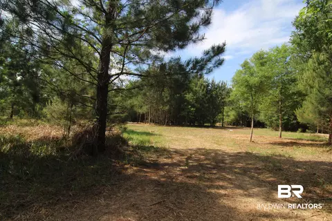 28800 Cheryl Ln, Elberta, AL 36530 photo 6