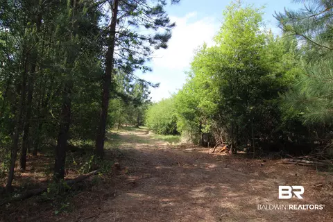 28800 Cheryl Ln, Elberta, AL 36530 photo 3