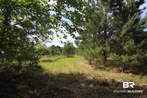 28800 Cheryl Ln, Elberta, AL 36530 photo 15