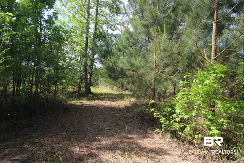 28800 Cheryl Ln, Elberta, AL 36530 photo 13