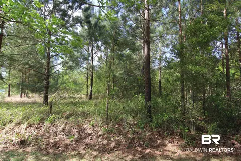 28800 Cheryl Ln, Elberta, AL 36530 photo 22