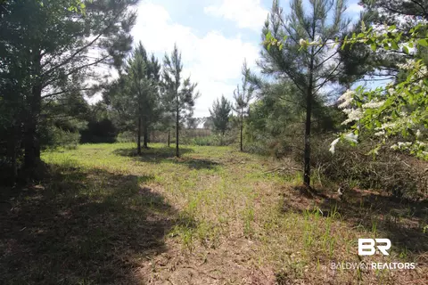 28800 Cheryl Ln, Elberta, AL 36530 photo 20