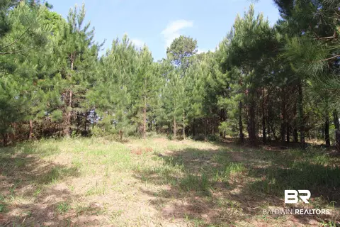 28800 Cheryl Ln, Elberta, AL 36530 photo 9