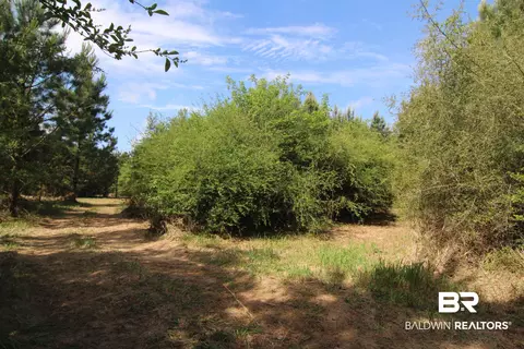 28800 Cheryl Ln, Elberta, AL 36530 photo 12