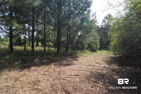 28800 Cheryl Ln, Elberta, AL 36530 photo 11