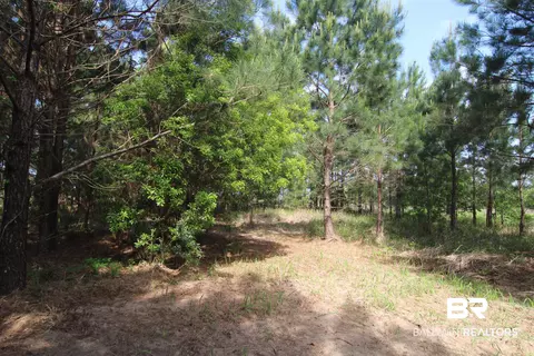 28800 Cheryl Ln, Elberta, AL 36530 photo 10