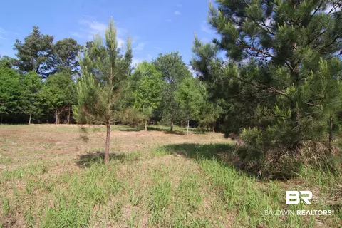 28800 Cheryl Ln, Elberta, AL 36530 photo 19