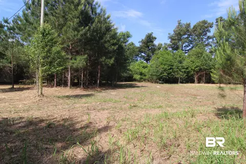 28800 Cheryl Ln, Elberta, AL 36530 photo 18