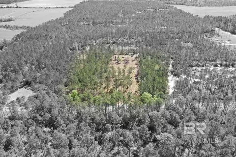 00000 Cc Rd, Elberta, AL 36530 photo 8