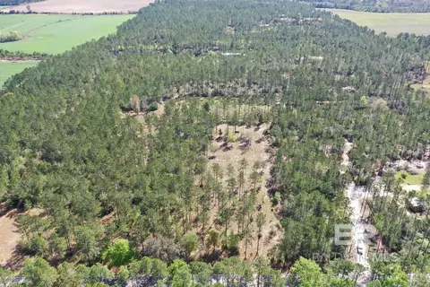 00000 Cc Rd, Elberta, AL 36530 photo 10