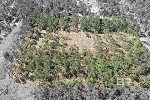 00000 Cc Rd, Elberta, AL 36530 photo 11