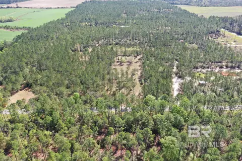 00000 Cc Rd, Elberta, AL 36530 photo 4