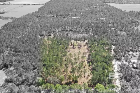 00000 Cc Rd, Elberta, AL 36530 photo 5