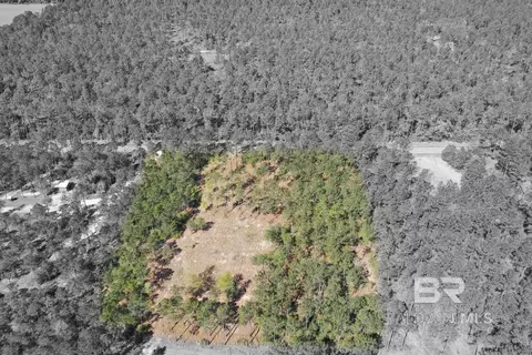 00000 Cc Rd, Elberta, AL 36530 photo 12