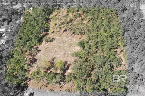 00000 Cc Rd, Elberta, AL 36530 photo 7