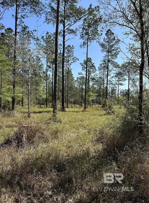 00000 Cc Rd, Elberta, AL 36530