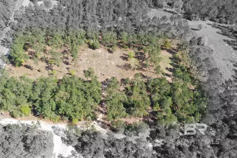 00000 Cc Rd, Elberta, AL 36530 photo 6