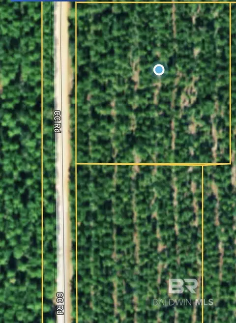 00000 Cc Rd, Elberta, AL 36530 photo 3