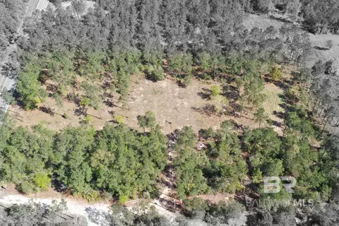 00000 Cc Rd, Elberta, AL 36530 photo 9