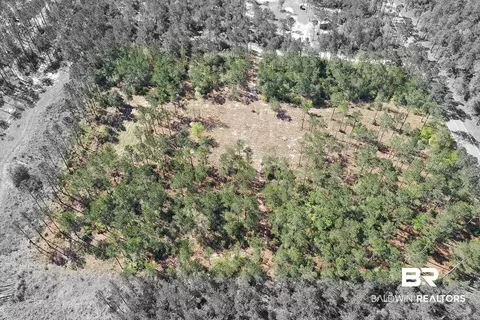 00000 Cc Rd, Elberta, AL 36530 photo 11