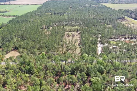 00000 Cc Rd, Elberta, AL 36530 photo 4