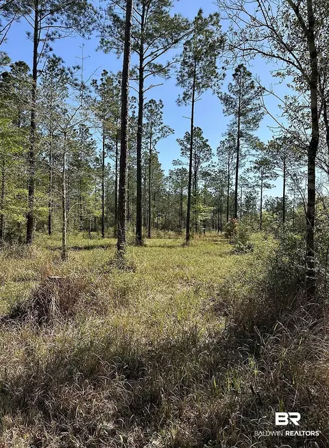 00000 Cc Rd, Elberta, AL 36530