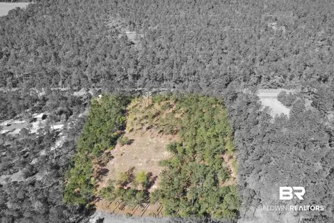 00000 Cc Rd, Elberta, AL 36530 photo 12