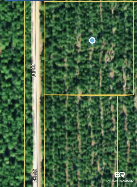 00000 Cc Rd, Elberta, AL 36530 photo 3