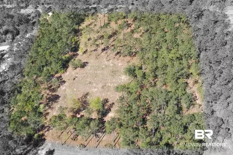 00000 Cc Rd, Elberta, AL 36530 photo 7