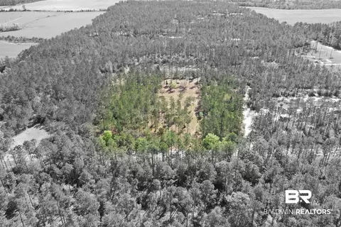 00000 Cc Rd, Elberta, AL 36530 photo 8