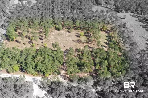00000 Cc Rd, Elberta, AL 36530 photo 6