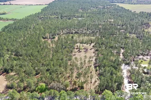 00000 Cc Rd, Elberta, AL 36530 photo 10