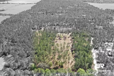 00000 Cc Rd, Elberta, AL 36530 photo 5