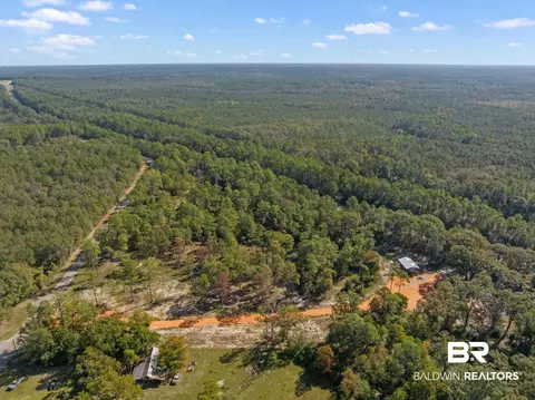 53572 Modelle Bryars Rd, Perdido, AL 36562 photo 16