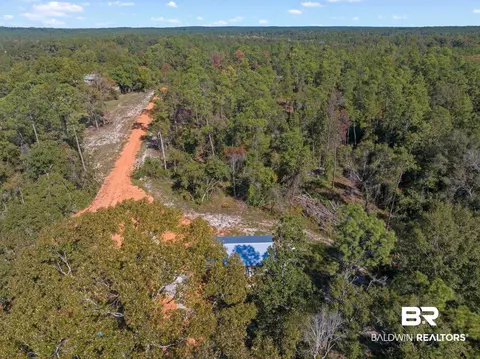 53572 Modelle Bryars Rd, Perdido, AL 36562 photo 13