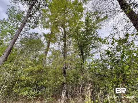 0 Pine Dr, Saint Stephens, AL 36569 photo 25