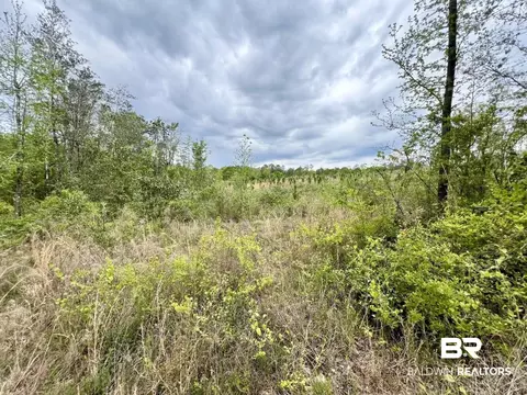 0 Pine Dr, Saint Stephens, AL 36569 photo 13