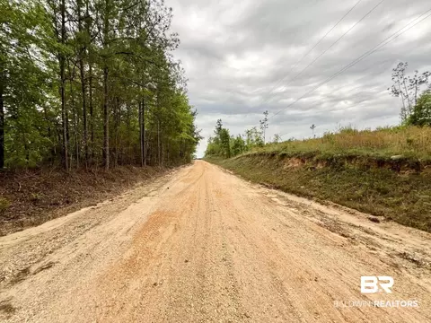 0 Pine Dr, Saint Stephens, AL 36569 photo 19