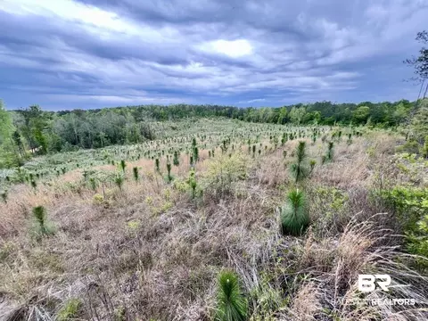 0 Pine Dr, Saint Stephens, AL 36569 photo 17